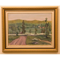 Boijer-Poijärvi, Wille